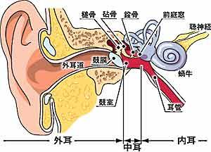 中耳炎 耳部疾病 西安新城中大耳鼻喉医院